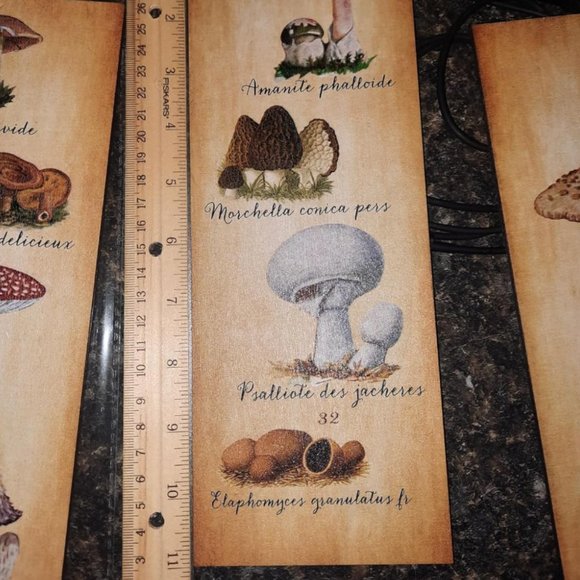 4 Pack Mushroom Wall Decor  11 x 3.5 Inch - Picture 7 of 8